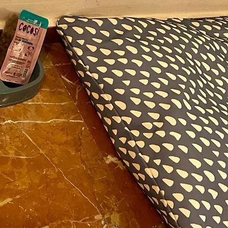 Maison d'hôtes La Vega